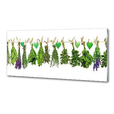 Cooker splashback Herbs on a string