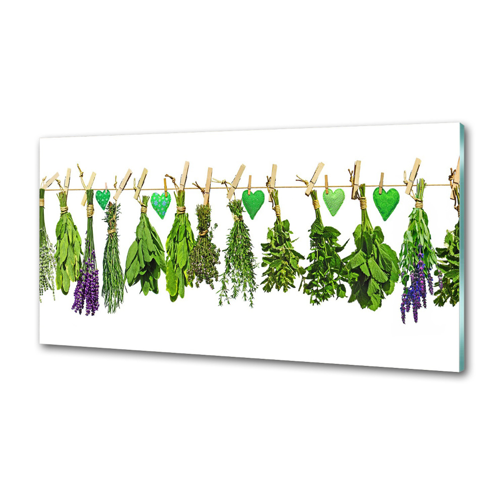 Cooker splashback Herbs on a string