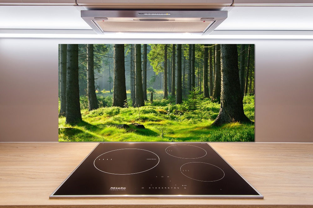 Cooker splashback Spruce forest