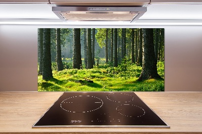 Cooker splashback Spruce forest