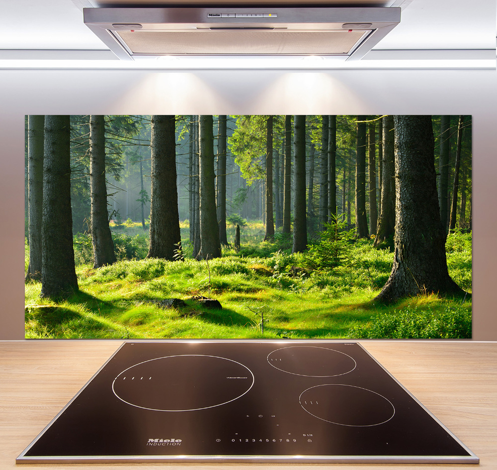 Cooker splashback Spruce forest