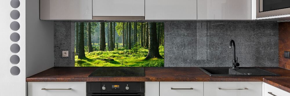 Cooker splashback Spruce forest