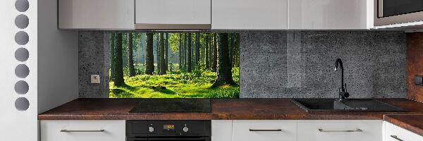 Cooker splashback Spruce forest