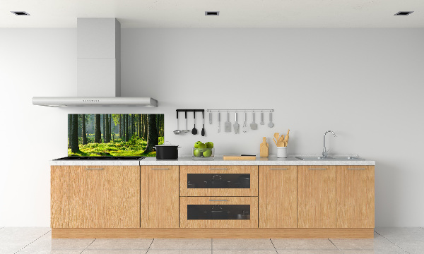 Cooker splashback Spruce forest