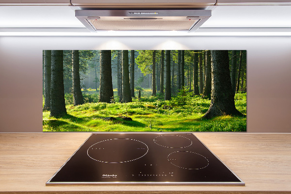 Cooker splashback Spruce forest