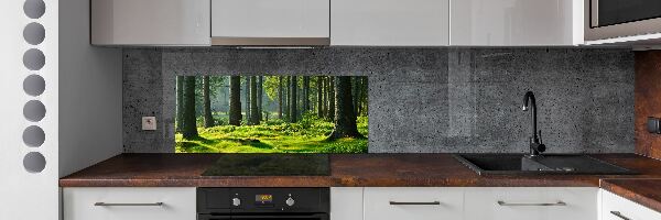 Cooker splashback Spruce forest