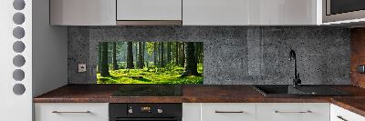 Cooker splashback Spruce forest