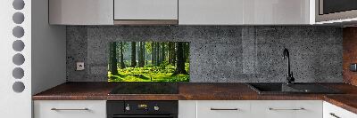 Cooker splashback Spruce forest