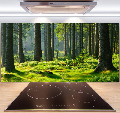 Cooker splashback Spruce forest