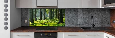 Cooker splashback Spruce forest