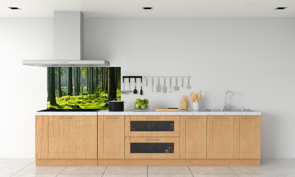 Cooker splashback Spruce forest