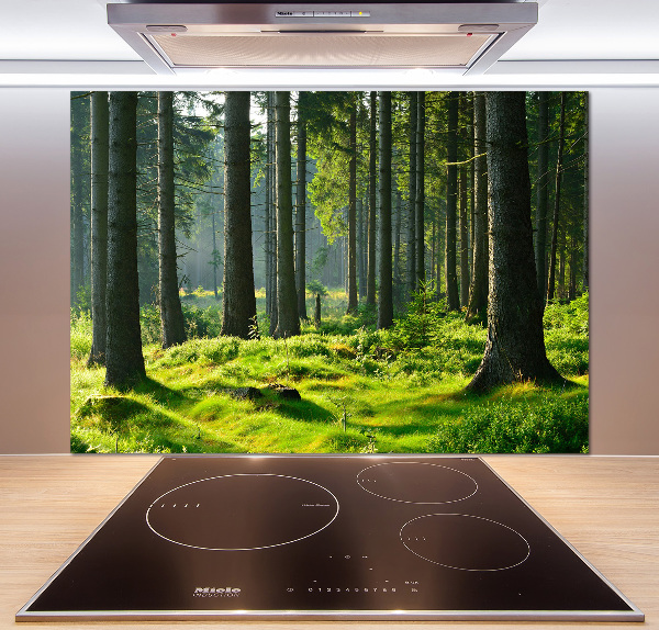 Cooker splashback Spruce forest