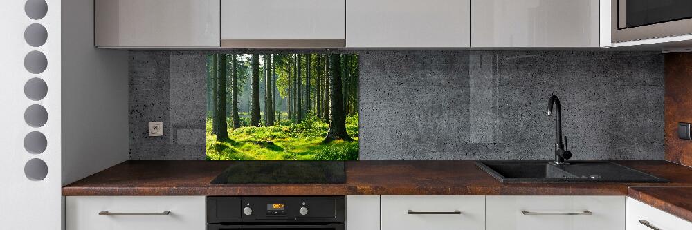 Cooker splashback Spruce forest