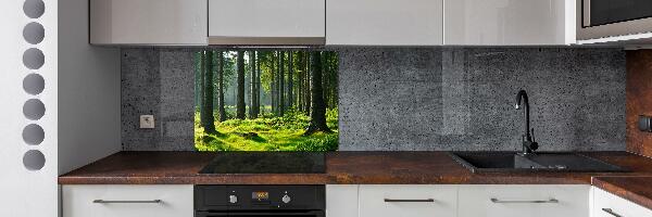 Cooker splashback Spruce forest