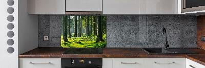 Cooker splashback Spruce forest