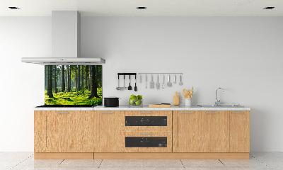 Cooker splashback Spruce forest