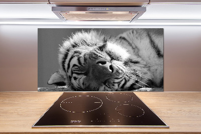 Cooker splashback Sleepy Tiger