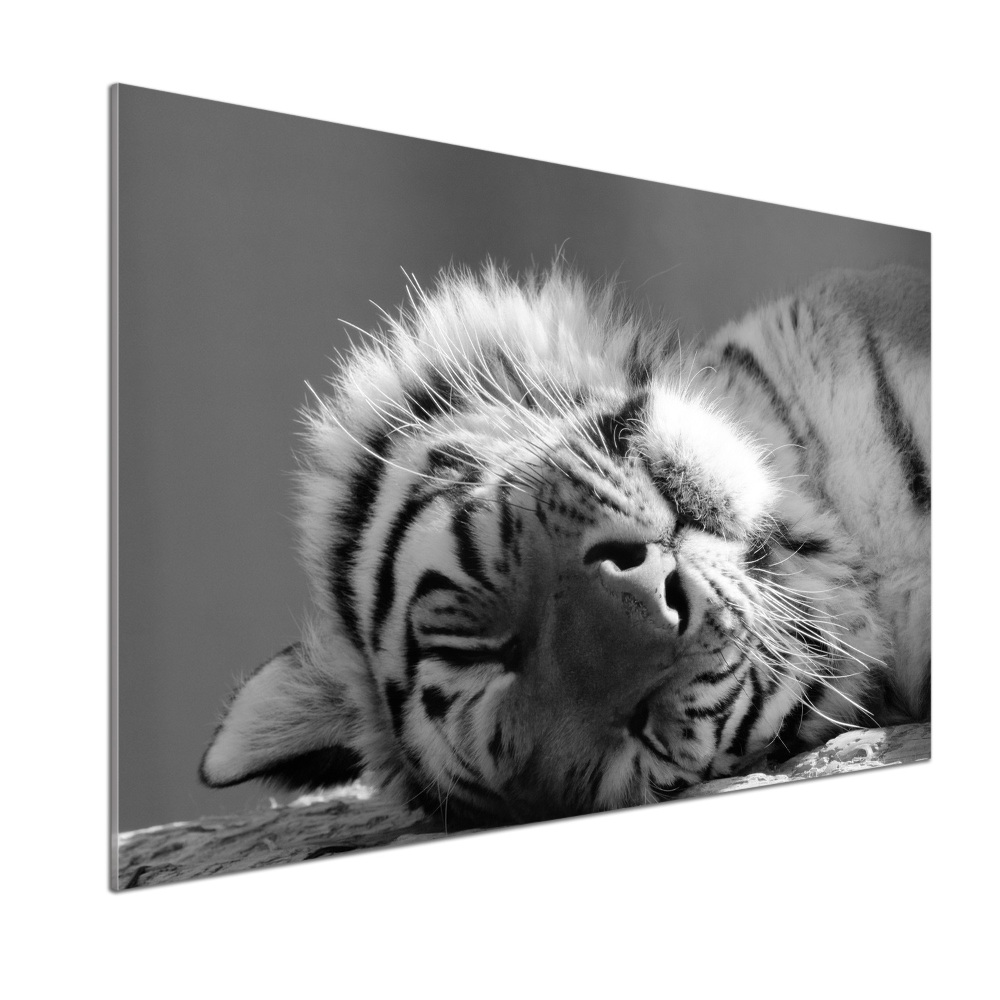 Cooker splashback Sleepy Tiger