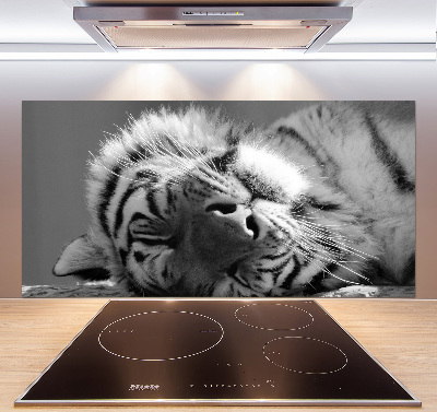 Cooker splashback Sleepy Tiger