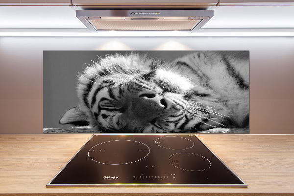 Cooker splashback Sleepy Tiger