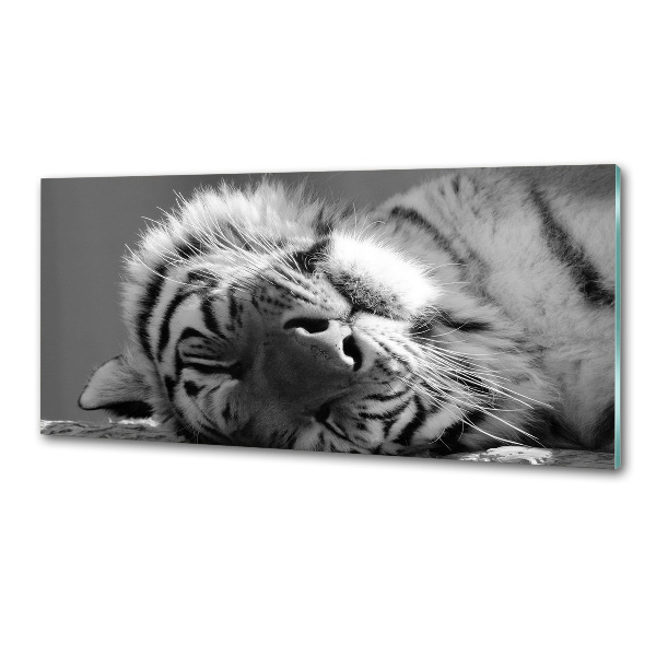 Cooker splashback Sleepy Tiger