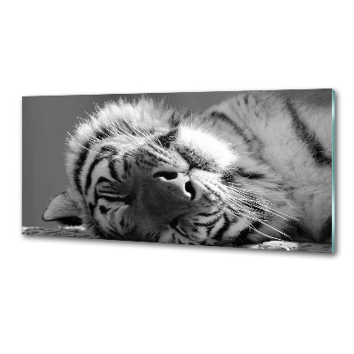 Cooker splashback Sleepy Tiger