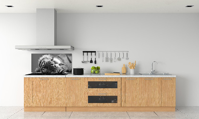 Cooker splashback Sleepy Tiger