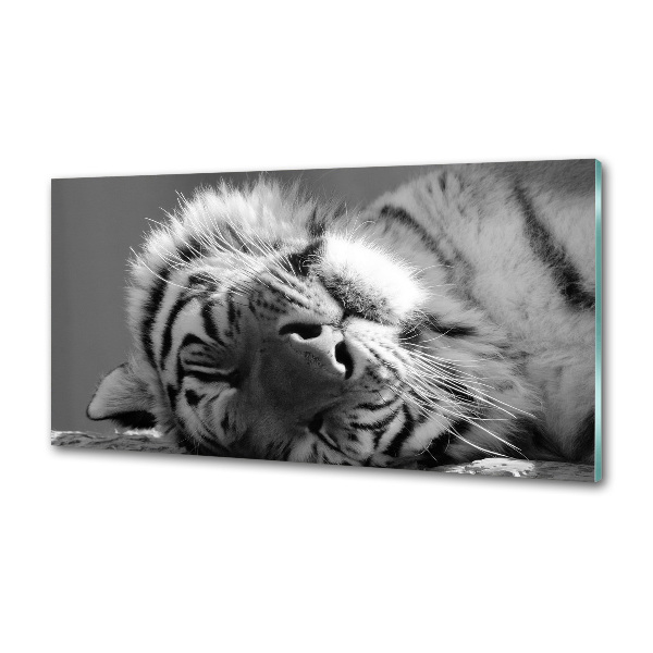 Cooker splashback Sleepy Tiger