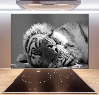 Cooker splashback Sleepy Tiger