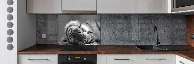 Cooker splashback Sleepy Tiger