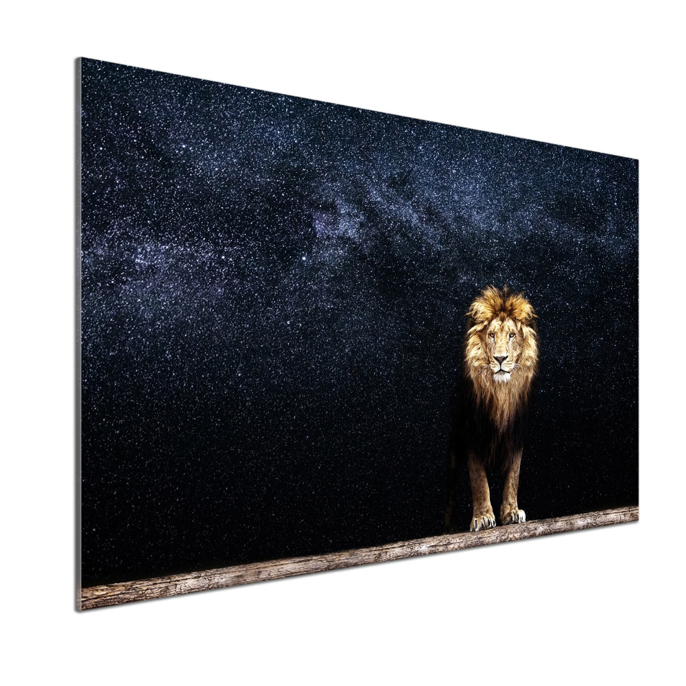 Cooker splashback Lion against the backdrop of the stars