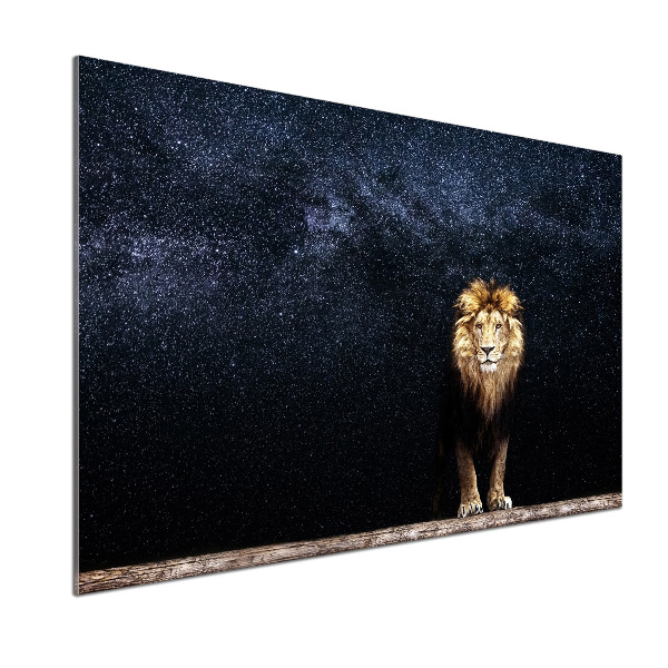 Cooker splashback Lion against the backdrop of the stars