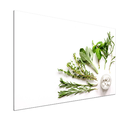 Cooker splashback Herbs