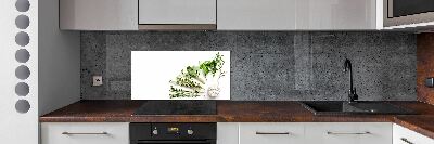 Cooker splashback Herbs