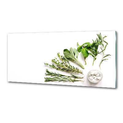 Cooker splashback Herbs