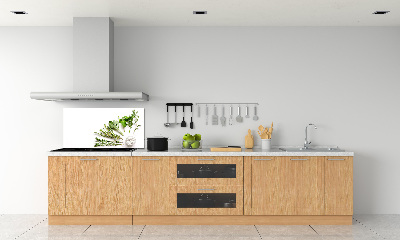 Cooker splashback Herbs