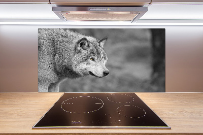 Cooker splashback Gray wolf