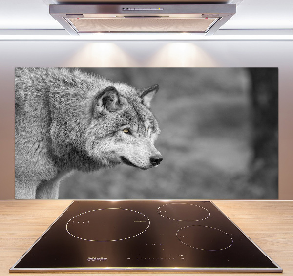 Cooker splashback Gray wolf