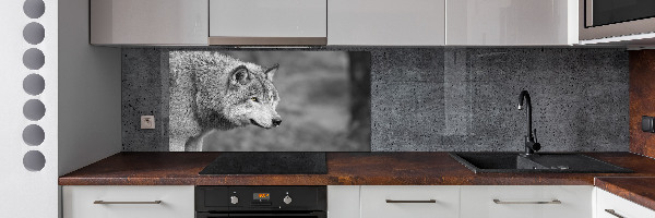 Cooker splashback Gray wolf