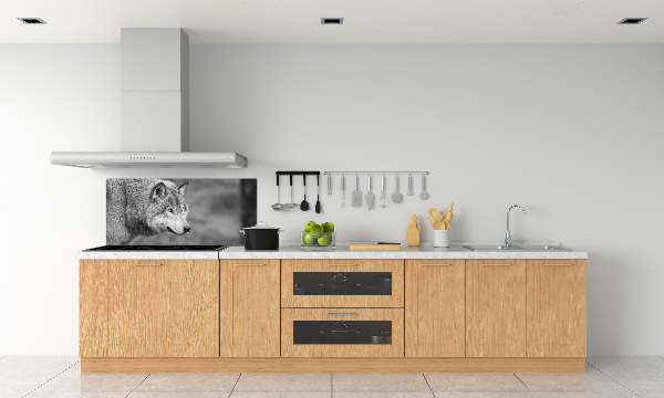 Cooker splashback Gray wolf