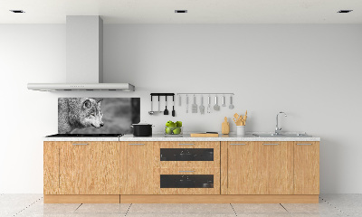 Cooker splashback Gray wolf