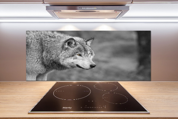 Cooker splashback Gray wolf