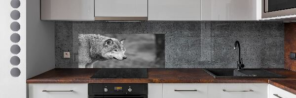 Cooker splashback Gray wolf