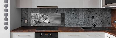 Cooker splashback Gray wolf