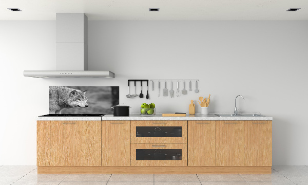 Cooker splashback Gray wolf