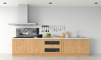 Cooker splashback Gray wolf