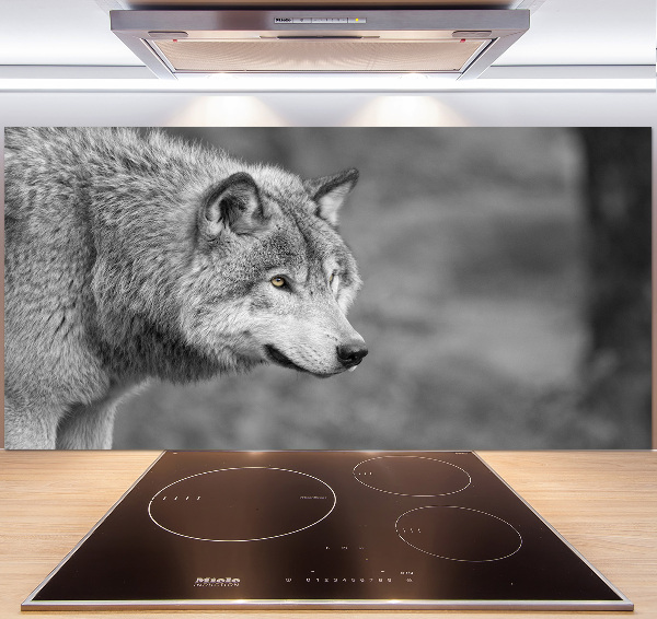 Cooker splashback Gray wolf