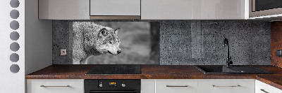 Cooker splashback Gray wolf