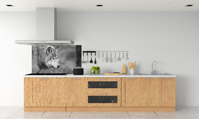 Cooker splashback Gray wolf