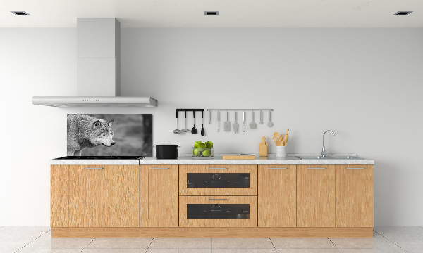 Cooker splashback Gray wolf